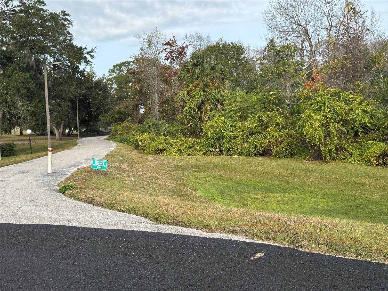 LAKE YALE ESTATES - Land