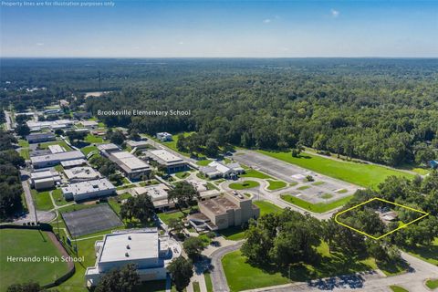 A home in BROOKSVILLE