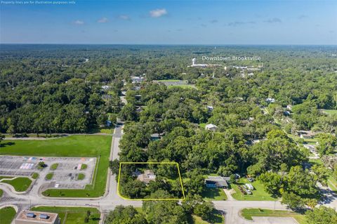 A home in BROOKSVILLE