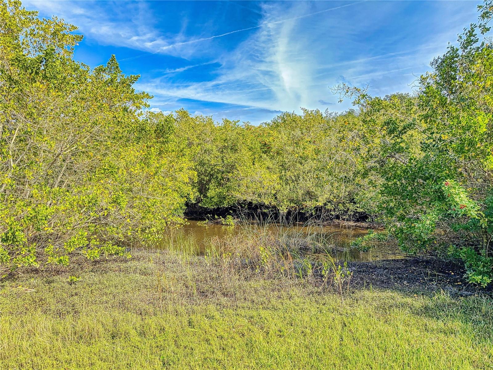 TYMBER TRACE PH 01 - Residential