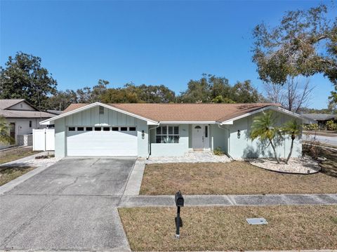 101 CHESTNUT CIRCLE SAFETY HARBOR FL 34695
