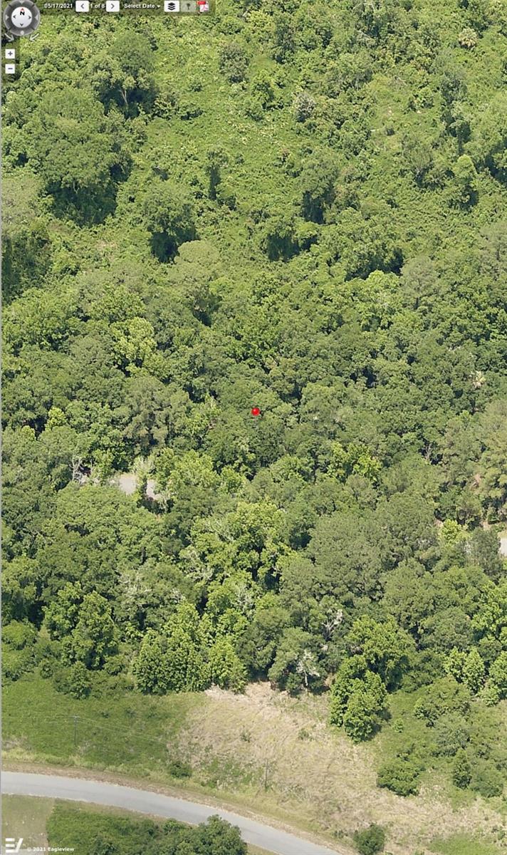 SILVER SPGS SHORES UN 50 - Land