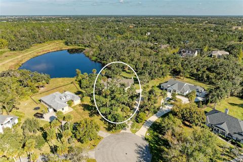 1511 BONITA BLUFF COURT RUSKIN FL 33570