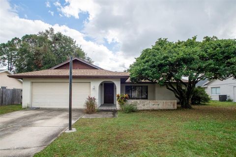 A home in ORLANDO