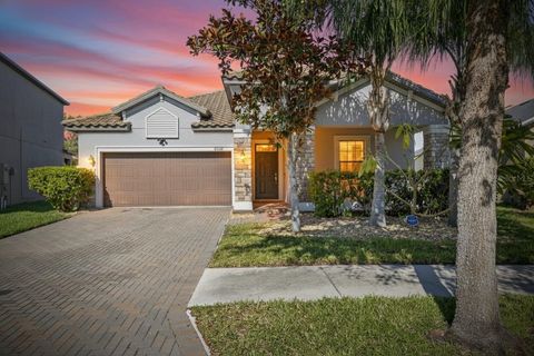 11924 FROST ASTER DRIVE RIVERVIEW FL 33579