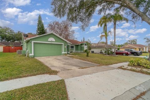 A home in APOPKA