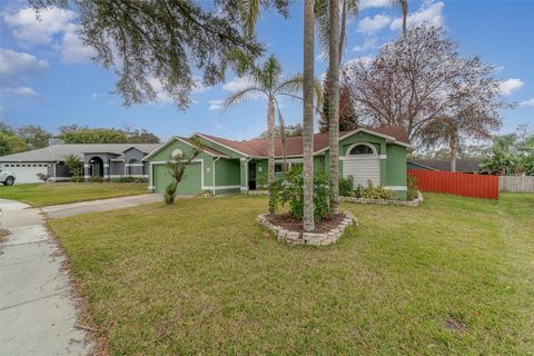 A home in APOPKA