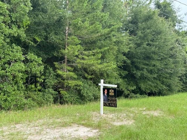 HIGH AND DRY VACANT RESIDENTIAL LOT, 1/4 OF ACRE, CLOSE TO HOSPITAL, SCHOOLS AND RESTAURANTS, IDEAL FOR BUILDING YOUR DREAM HOME!!!