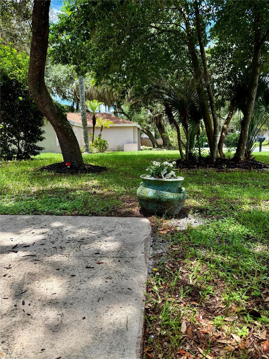 113 WINDING RIDGE DRIVE