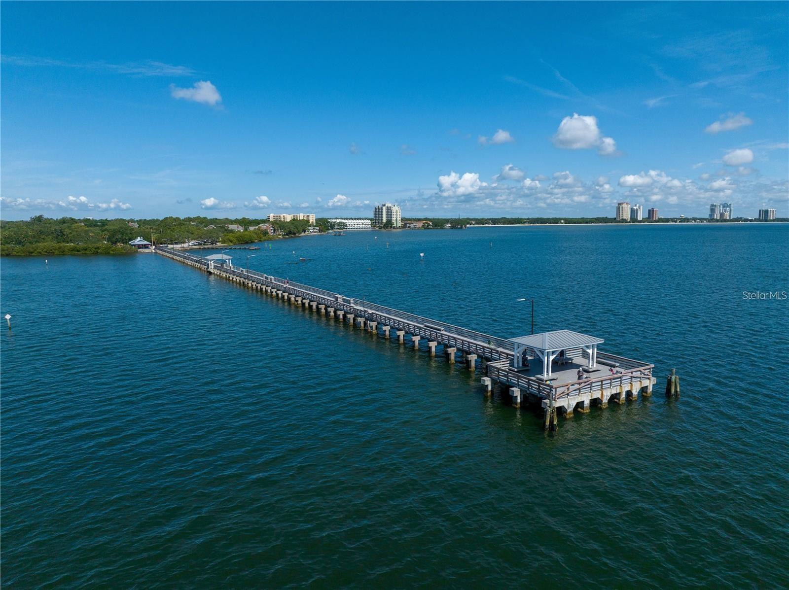 MACDILL ESTATES REV - Residential Lease