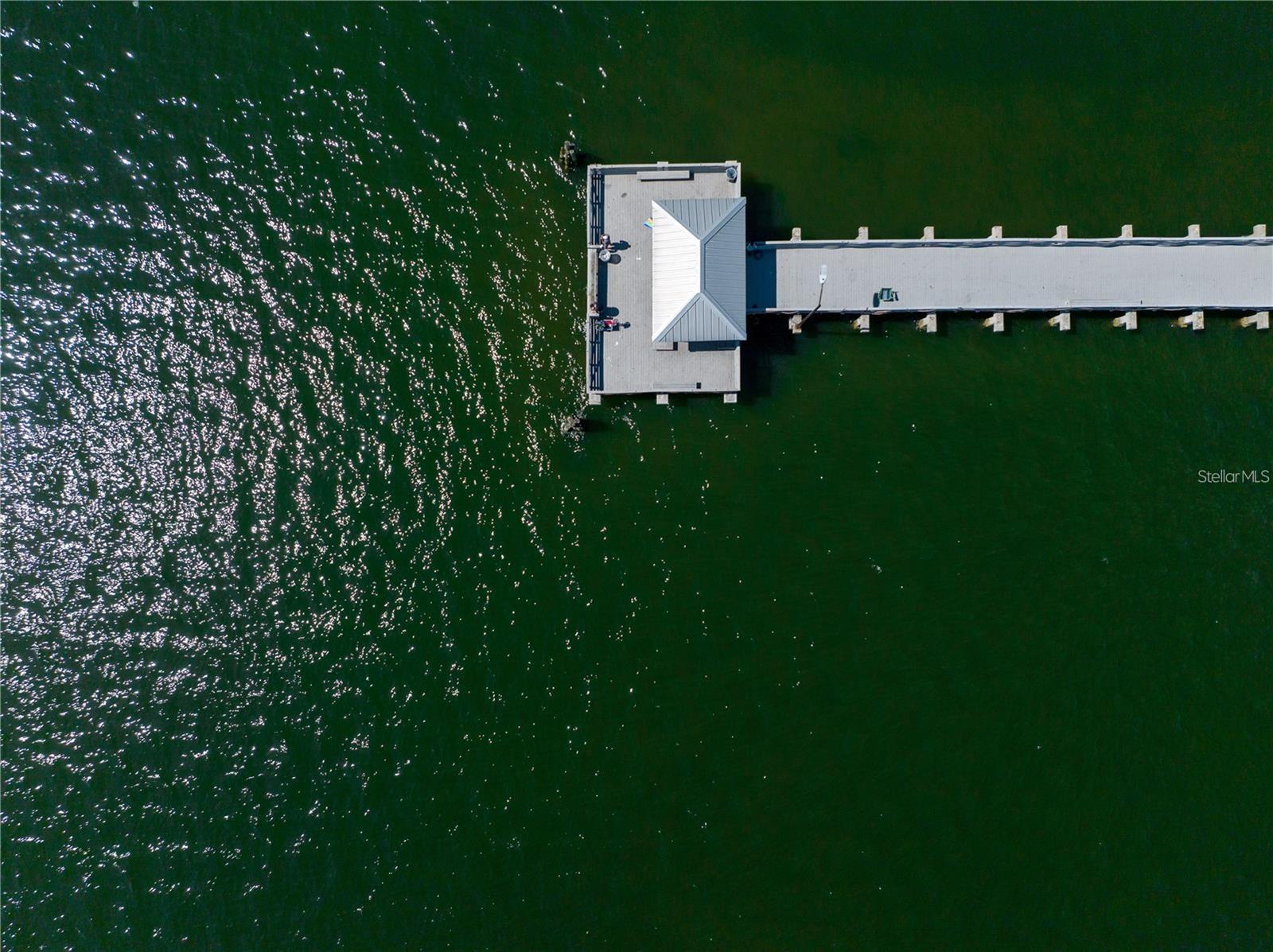 MACDILL ESTATES REV - Residential Lease