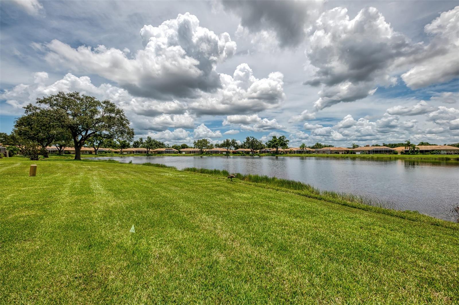 3012 COMMUNITY CENTER DRIVE
