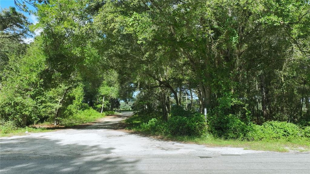 Photo of 14850 SW 119th Court, Dunnellon, FL 34432 (MLS # TB8420800)