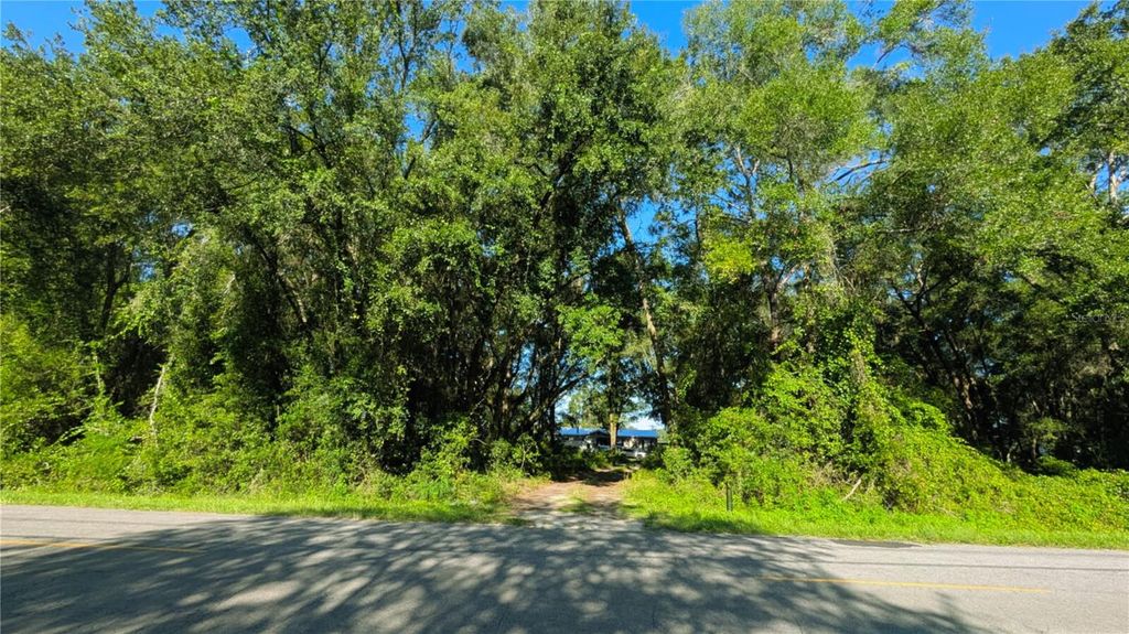 Photo of 14850 SW 119th Court, Dunnellon, FL 34432 (MLS # TB8420800)