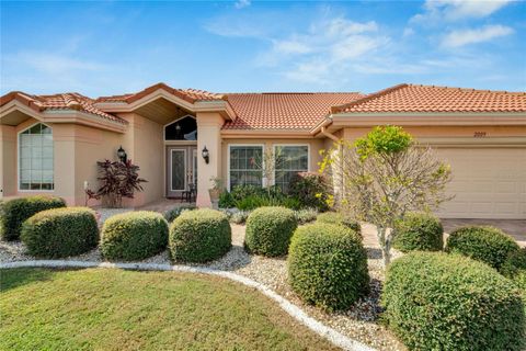 A home in SUN CITY CENTER