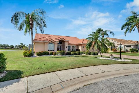 A home in SUN CITY CENTER