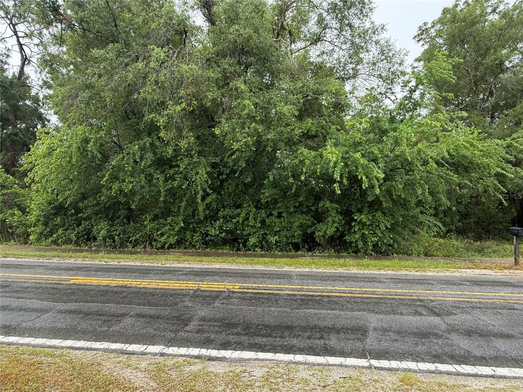 Photo of 34184 Ridge Manor Blvd, Dade City, FL 33523 (MLS # TB8509449)