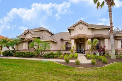 A home in PALM HARBOR