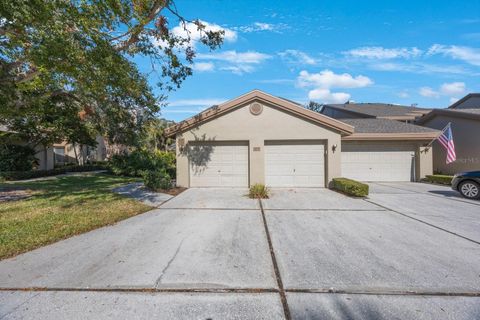 A home in PALM HARBOR