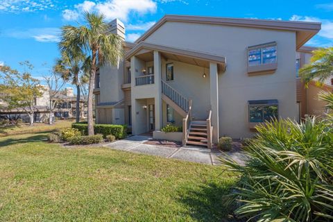 A home in PALM HARBOR