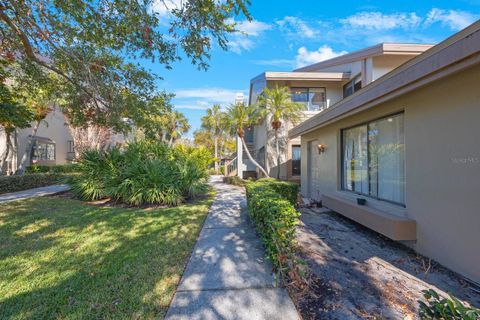 A home in PALM HARBOR