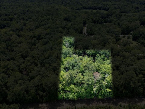 Tiny photo for 18451 NW 141st Avenue, Williston, FL 32696 (MLS # OM727276)