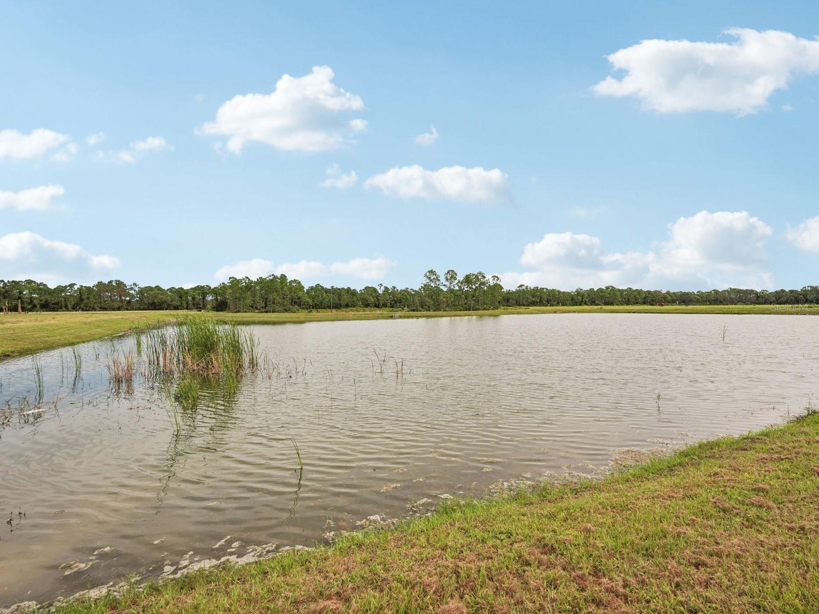 MAGNOLIA BAY - Residential