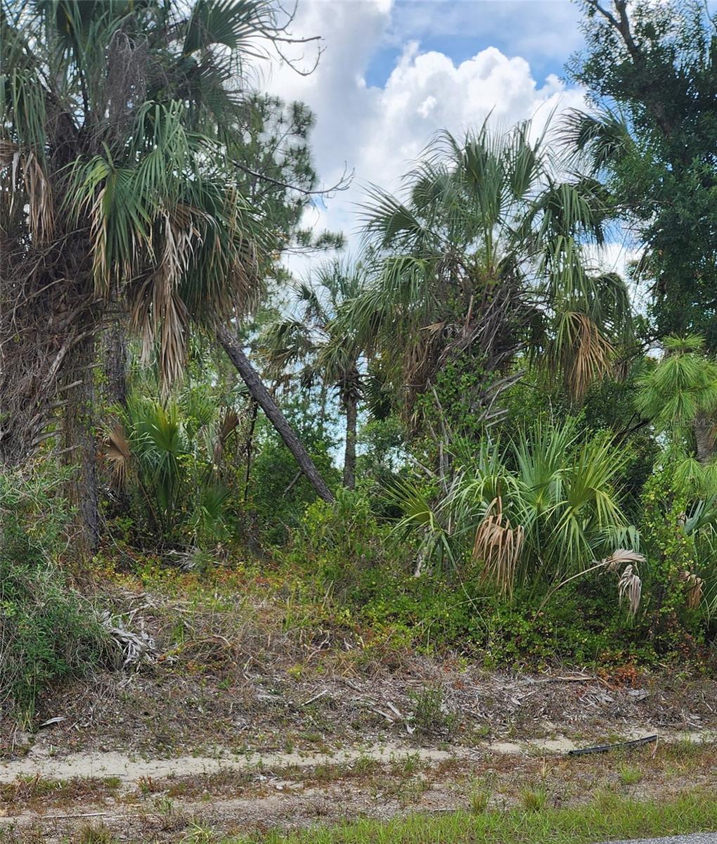 PORT CHARLOTTE SUB 05 - Land