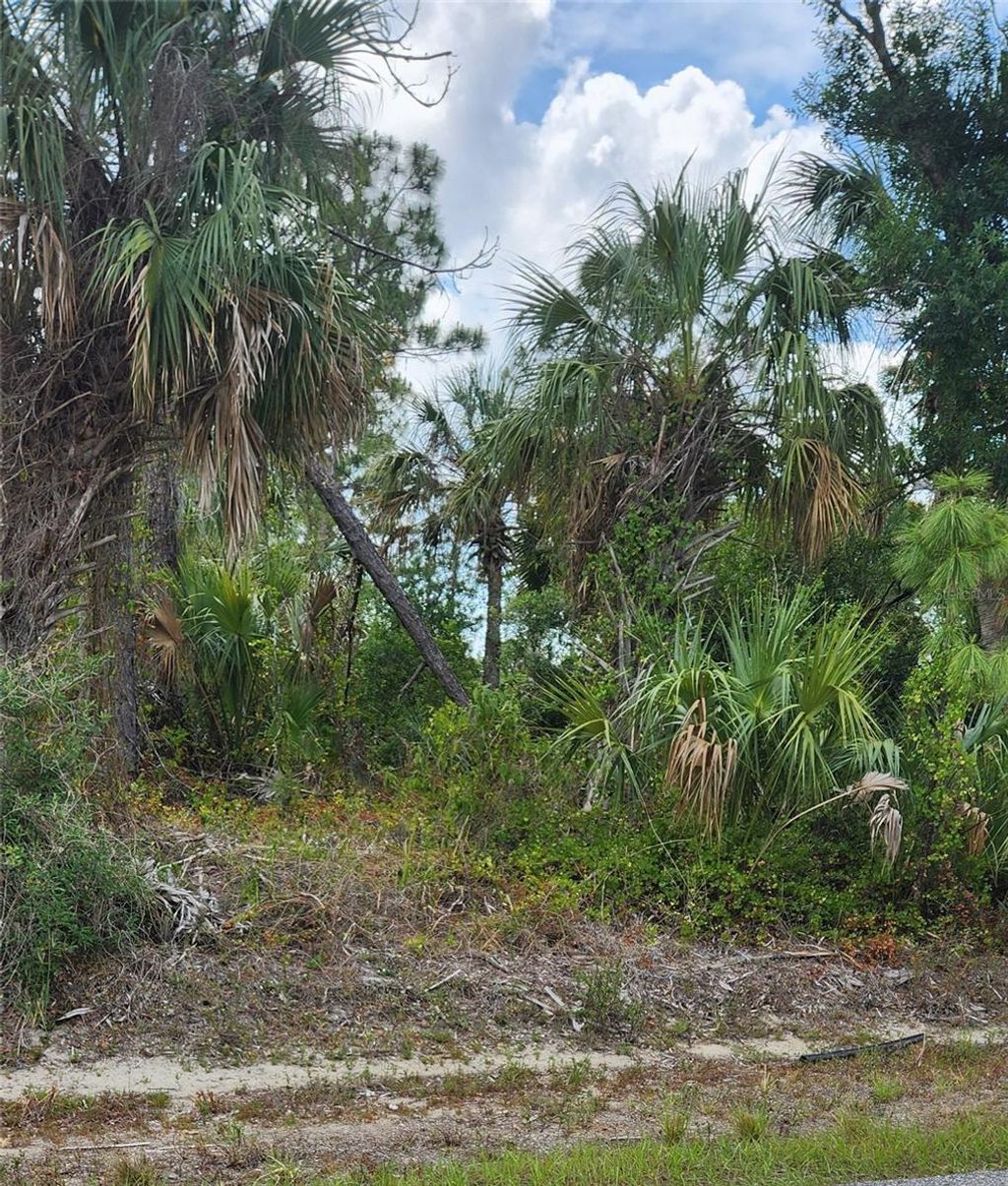 Photo of Mcginnis Terrace, North Port, FL 34286 (MLS # C7500513)