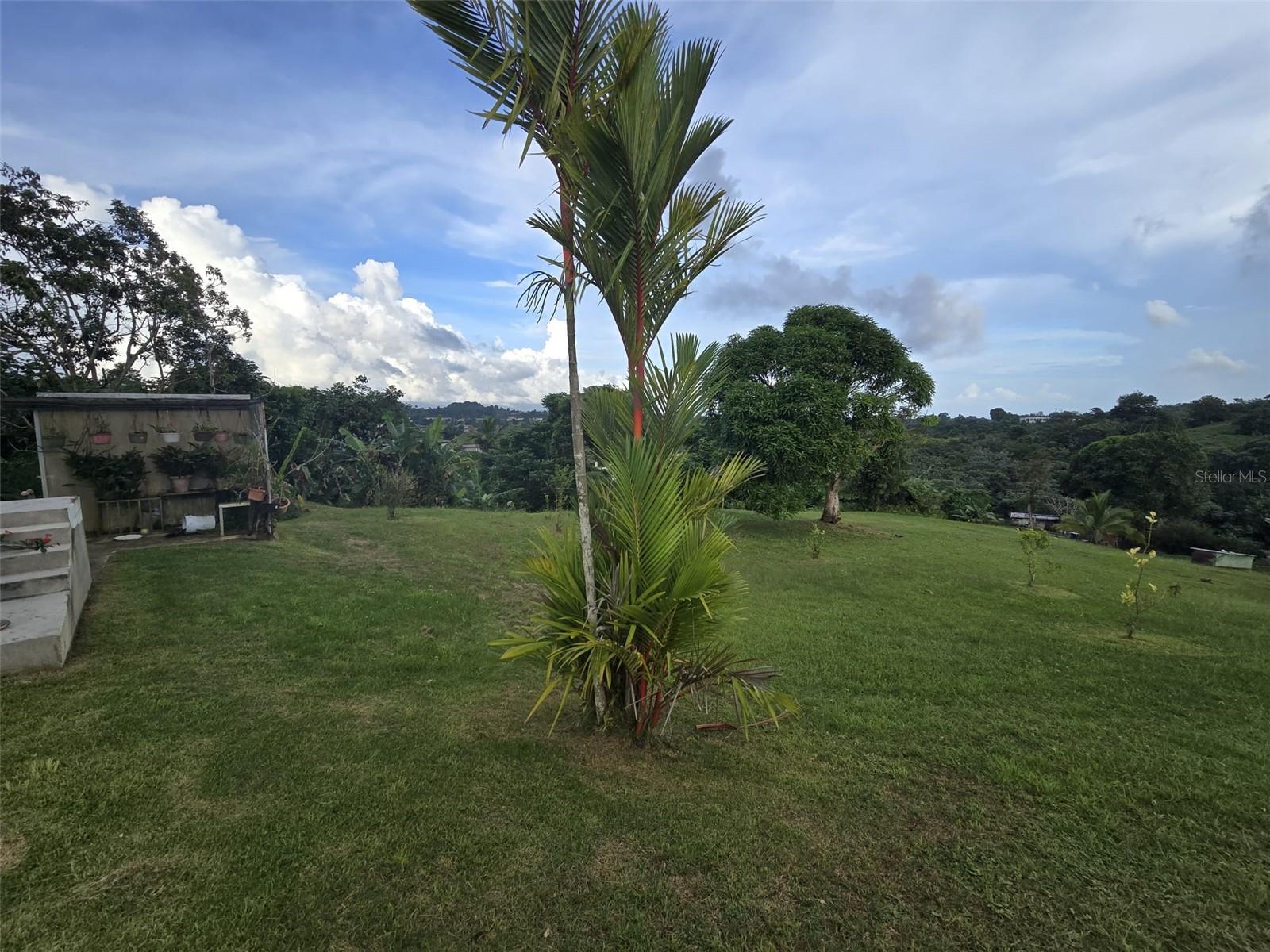 PIEDRA AZUL - Residential