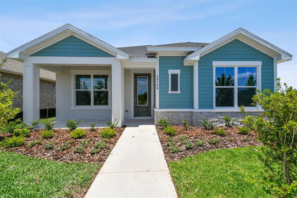 Photo of 28768 Rambutan Drive, Wesley Chapel, FL 33543 (MLS # T3531077)