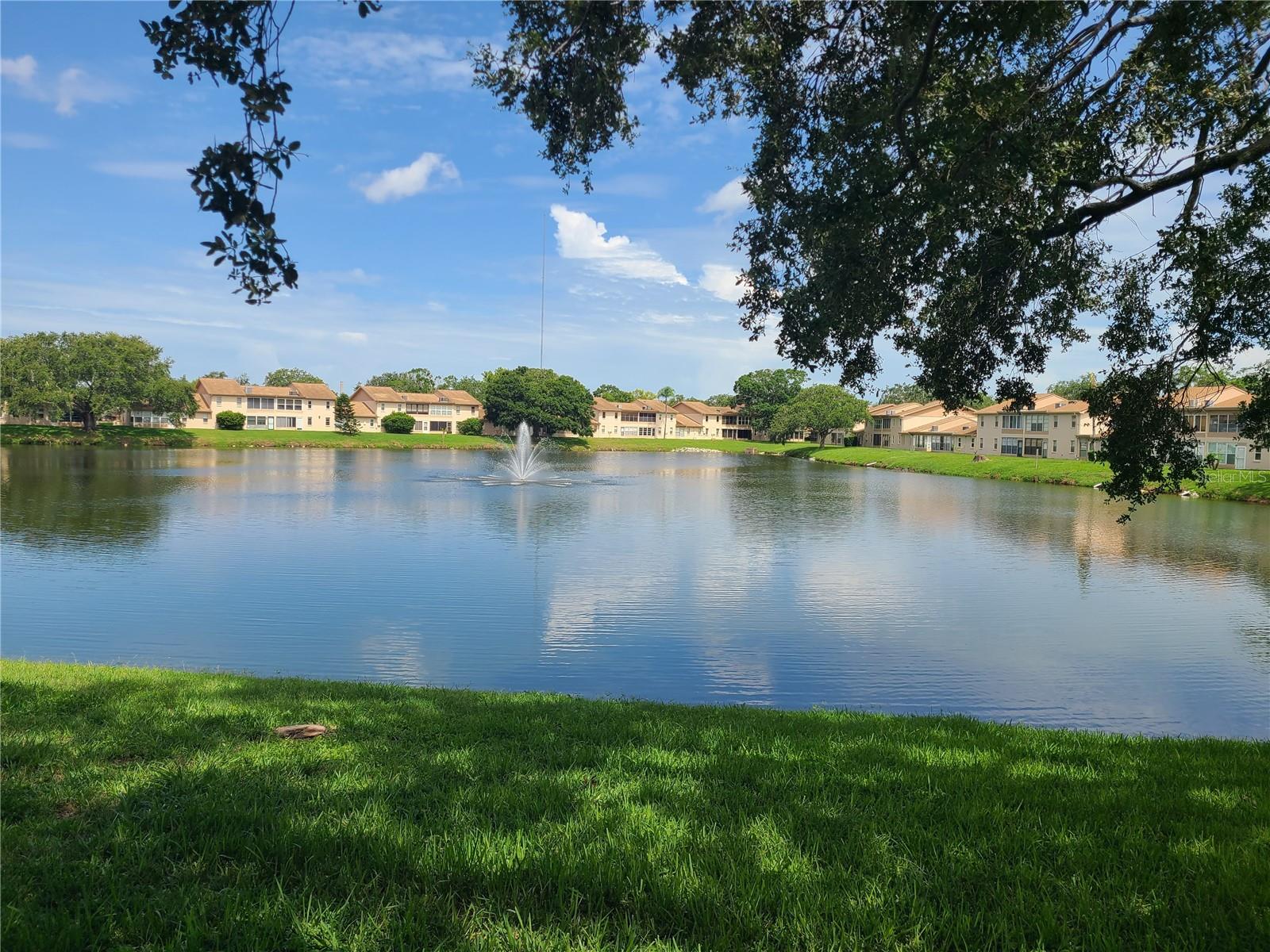 This 2 Bedroom/2 bathroom Lakefront GROUND FLOOR unit is Located in Holiday Lake Villa's a PET friendly 55+ Community - Open Floor plan with split bedrooms and inside Utility with full size washer and dryer - enclosed porch with Lake view - Assigned Covered Parking - Clubhouse with Heated Pool - Community experienced NO Flooding during recent hurricanes - Close to Hospital, Shopping and the Tarpon Springs Sponge Docks offering Dining,Shops, Entertainment , Boating and Fred Howard Park Beach