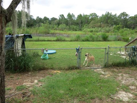 A home in CRYSTAL RIVER