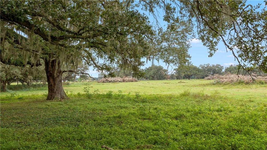 ACREAGE & UNREC - Commercial Sale