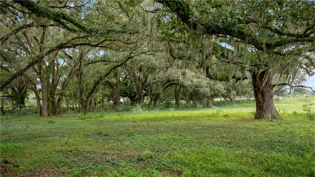 ACREAGE & UNREC - Commercial Sale