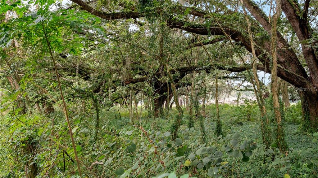 ACREAGE & UNREC - Commercial Sale