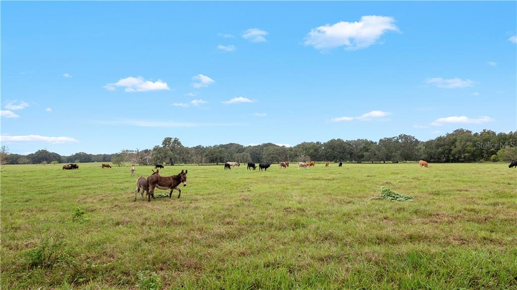 ACREAGE & UNREC - Commercial Sale