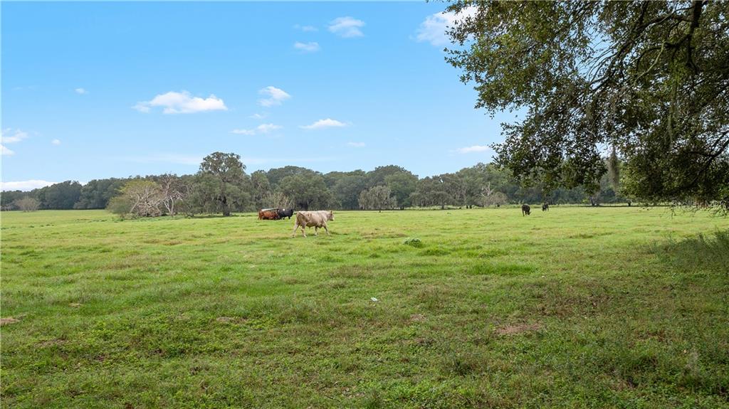 ACREAGE & UNREC - Commercial Sale