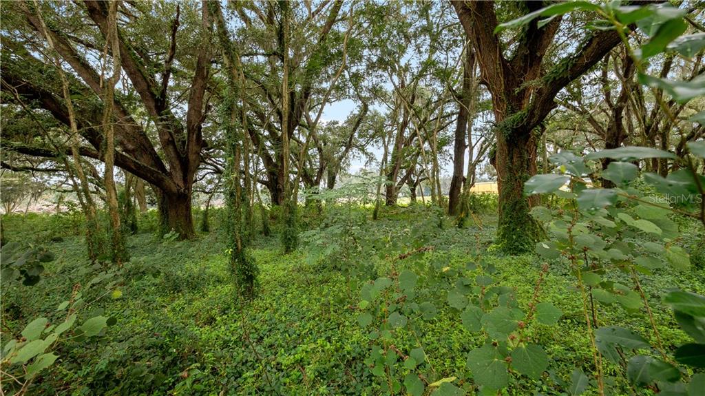 ACREAGE & UNREC - Commercial Sale