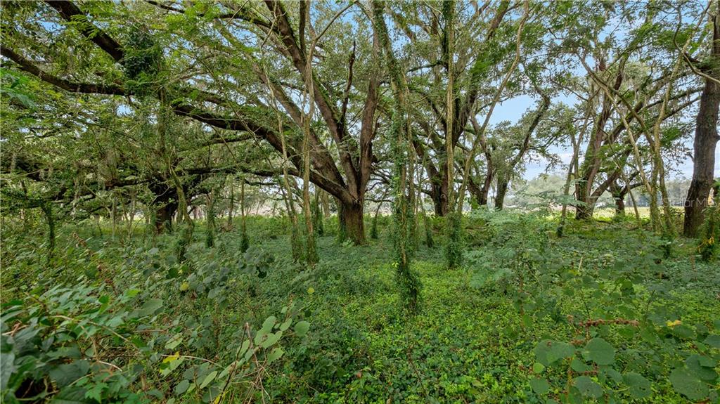 ACREAGE & UNREC - Commercial Sale