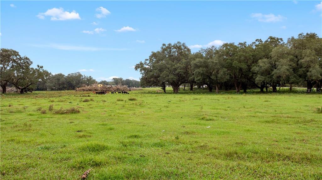 ACREAGE & UNREC - Commercial Sale