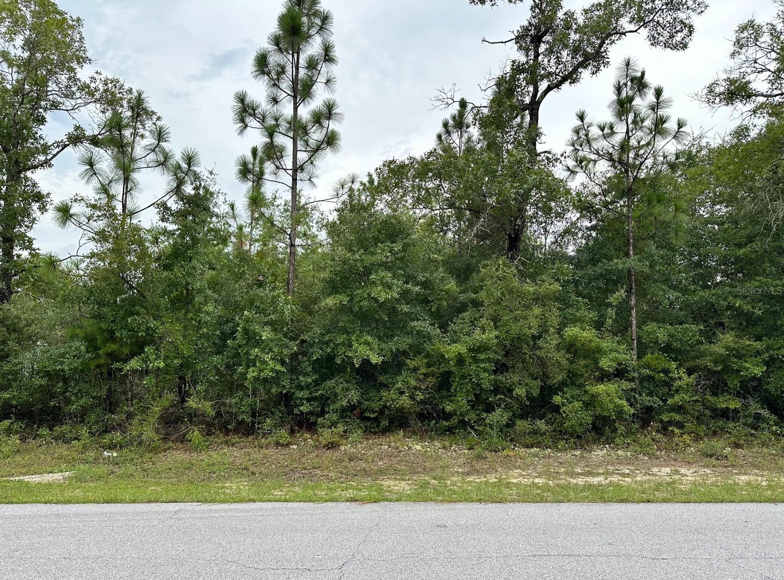 Situated in the heart of Sunny Hills, this residential lot measures 100 by 125 feet and offers access to city water. Located outside the flood zone, with no wetlands or protected species, this lot is shovel-ready and primed for development. Chipley is a city in Washington County, Florida, Chipley has many attractions, including Falling Waters State Park, Seacrest Wolf Preserve, Orange Hill Gator Farm, The Swamp OffRoad Park, and Sunshine Riding Trails. Falling Waters State Park has a two-acre lake with a sand beach that's good for swimming.