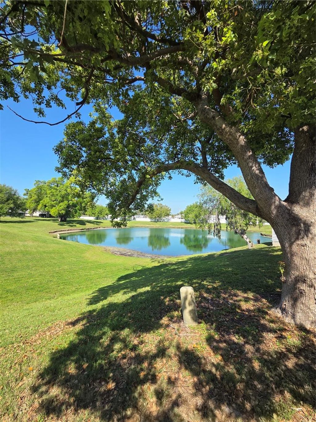 Photo of 3121 E Beecher Drive E #D, Palm Harbor, FL 34683 (MLS # TB8491042)