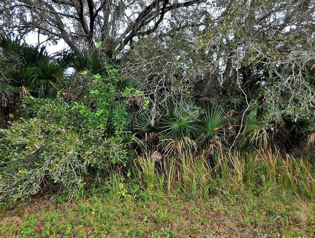 Photo of Brixton Terrace, North Port, FL 34291 (MLS # C7508777)