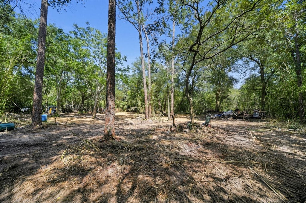 Photo of 31526 Sunrise Street, Mount Dora, FL 32757 (MLS # O6444324)
