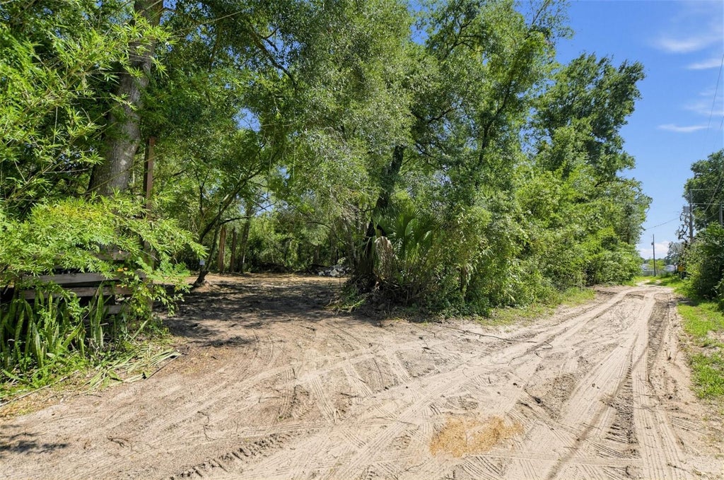 Photo of 31526 Sunrise Street, Mount Dora, FL 32757 (MLS # O6444324)