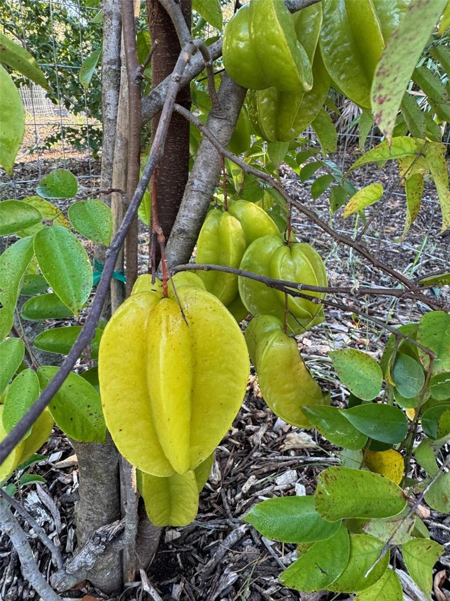 COUNTRY MEADOW WEST UNIT 1 - Residential