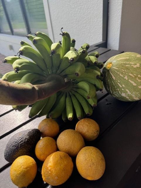 COUNTRY MEADOW WEST UNIT 1 - Residential