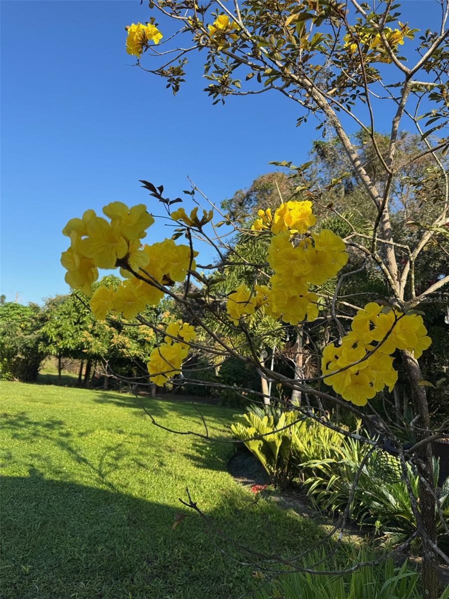 COUNTRY MEADOW WEST UNIT 1 - Residential