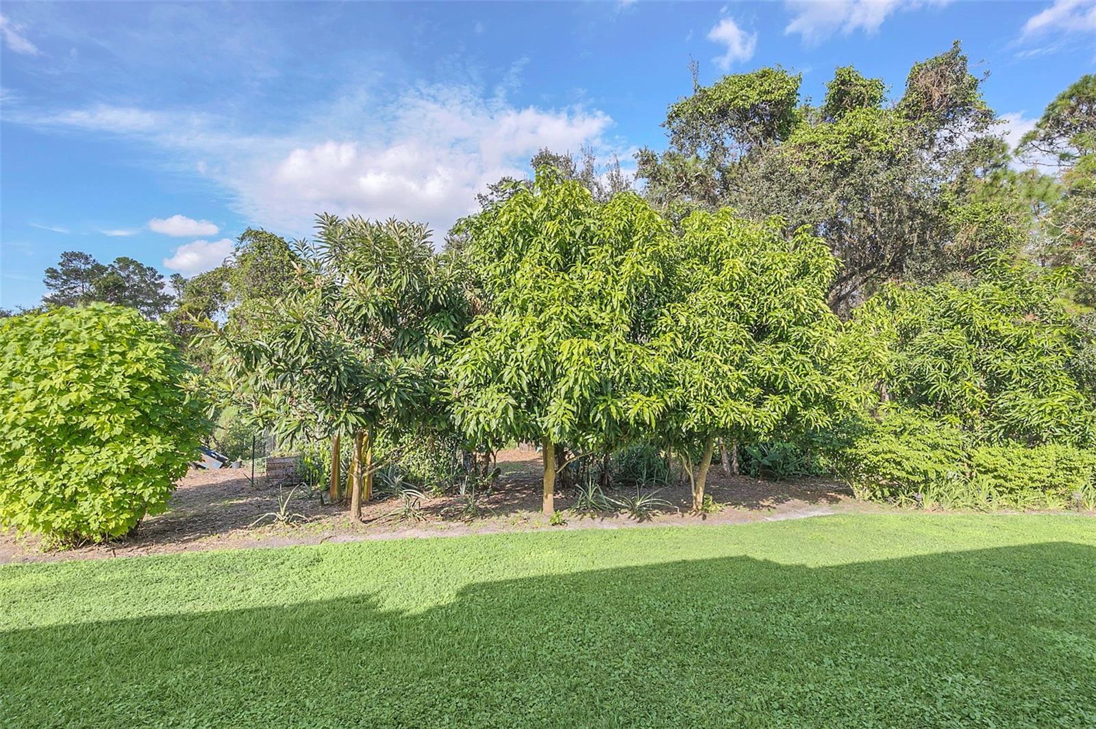 COUNTRY MEADOW WEST UNIT 1 - Residential